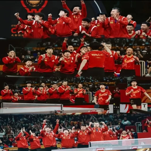 训练备战新闻聚焦：阵容变革的深度解析
